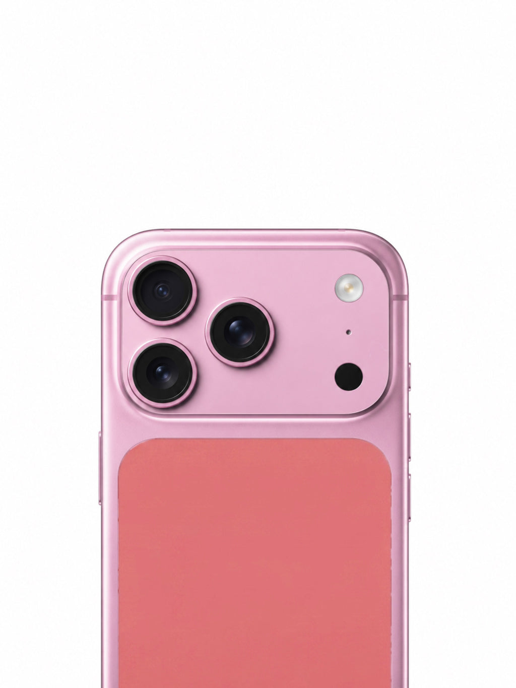 Rosa Kit